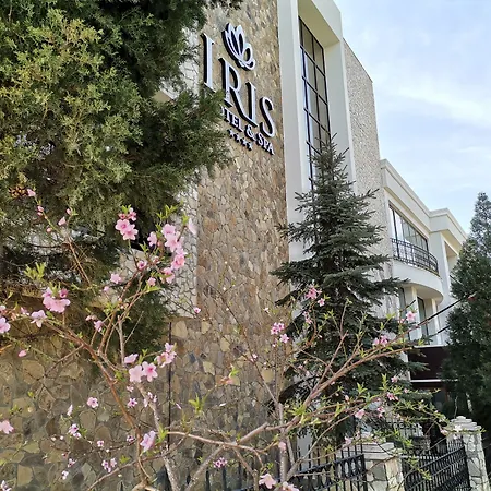 Iris & Canakkale