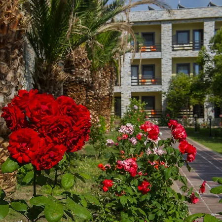 Iris & 4* Canakkale