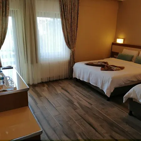 Iris & Hotel 4*